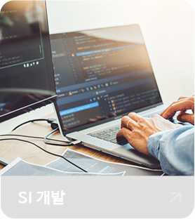 SI 개발